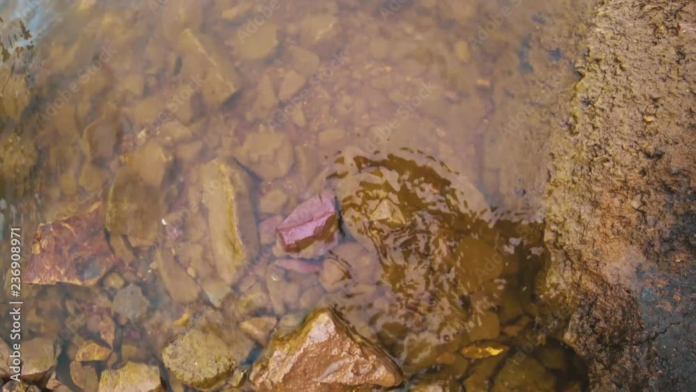 The water of the river on the shore is beating against stones. Close-up of small waves. The water of the river on the shore is beating against stones. Close-up of small waves.