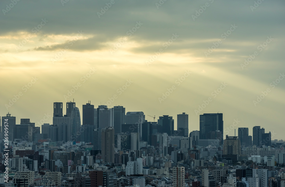 斜光を受ける新宿高層ビル群
