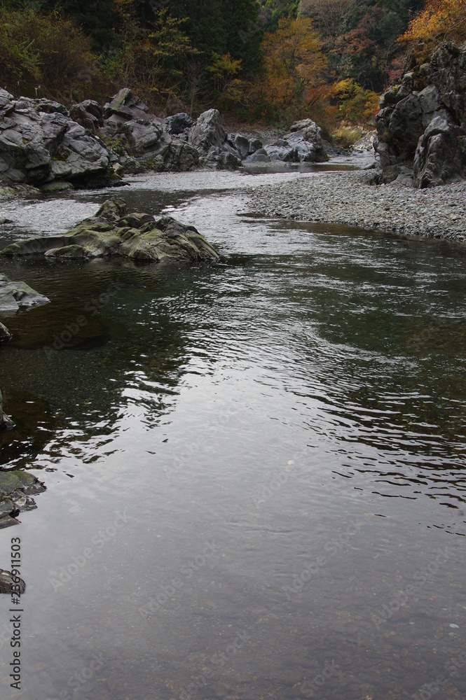 渓流の水面 渓流の水面
