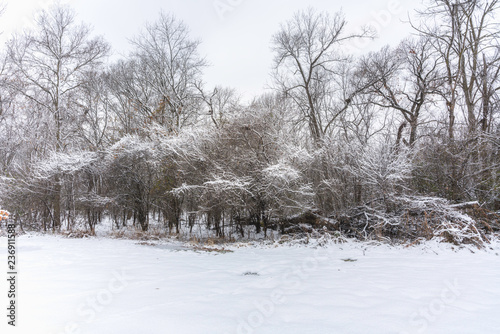 Winter landscape with snow. Nature concept © marchello74