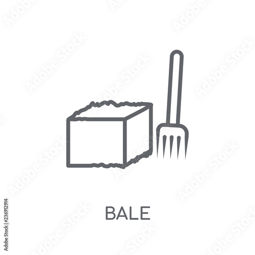 Εκτύπωση καμβά Bale linear icon