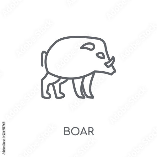 Boar linear icon. Modern outline Boar logo concept on white background from animals collection