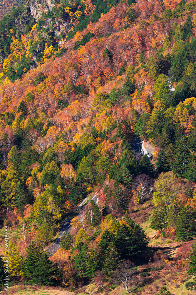 Beautiful Autumn mountain at Takamura Village, Yamada-onsen, Nagano, Japan.