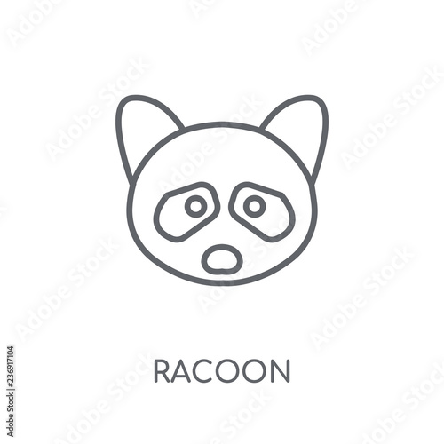 Racoon linear icon. Modern outline Racoon logo concept on white background from animals collection