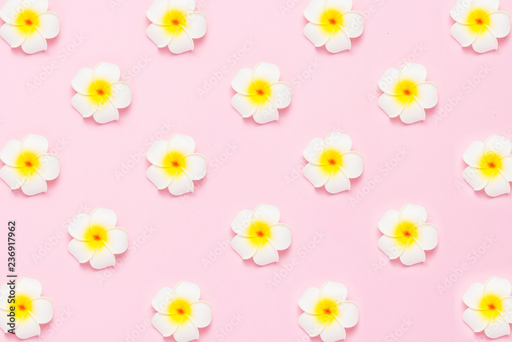 Tropical flowers plumeria on a pink background. Concept texture or pattern for napkins, postcards, background. Flat lay, top view Tropical flowers plumeria on a pink background. Concept texture or pattern for napkins, postcards, background. Flat lay, top view