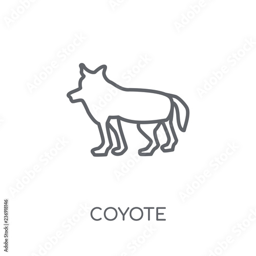 Coyote linear icon. Modern outline Coyote logo concept on white background from animals collection photo