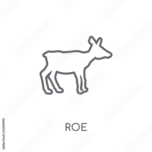 Roe linear icon. Modern outline Roe logo concept on white background from animals collection