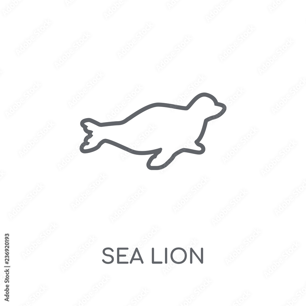 Sea lion linear icon. Modern outline Sea lion logo concept on white background from animals ...