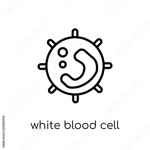 White blood cell icon. Trendy modern flat linear vector White blood cell icon on white background from thin line Human Body Parts collection