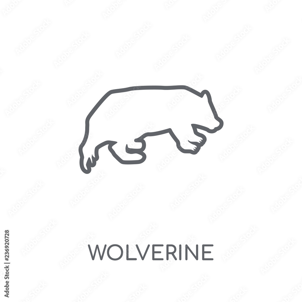 Wolverine linear icon. Modern outline Wolverine logo concept on white background from animals collection Stock Vector | Adobe Stock Wolverine linear icon. Modern outline Wolverine logo concept on white background from animals collection Stock Vector | Adobe Stock