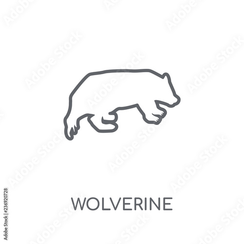 Wolverine linear icon. Modern outline Wolverine logo concept on white background from animals collection