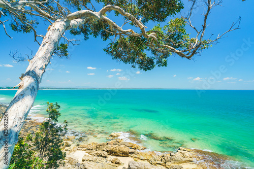 Fototapeta Naklejka Na Ścianę i Meble -  Noosa National Park on a perfect day with blue water and pandanus palms on the Sunshine Coast in Queensland