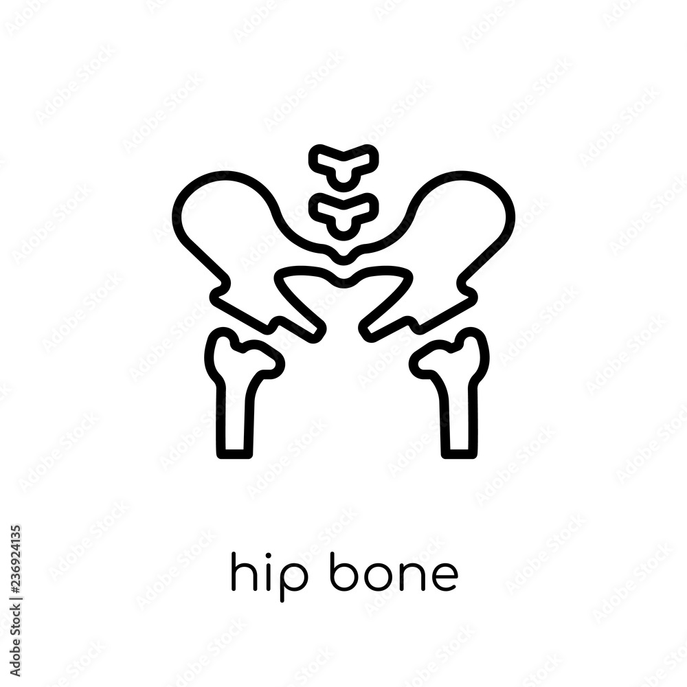 hip clipart black and white