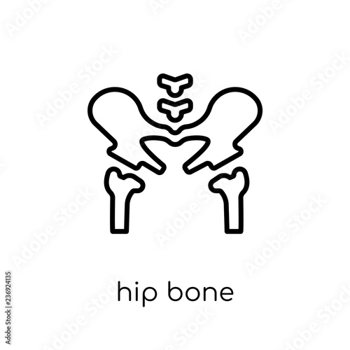Hip Bone icon. Trendy modern flat linear vector Hip Bone icon on white background from thin line Human Body Parts collection