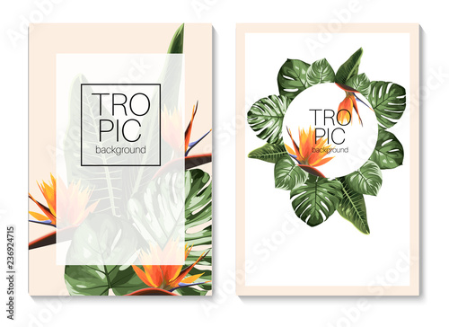 Botanical invitation card template design, green split-leaf philodendron monstera plant with strelitzia bird flowers on beige background, minimalist modern style.