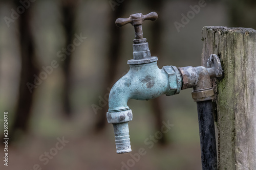 A close up of an old water tap with a hose pipe fitting attached is fixed to an old wooden post out in a wood.