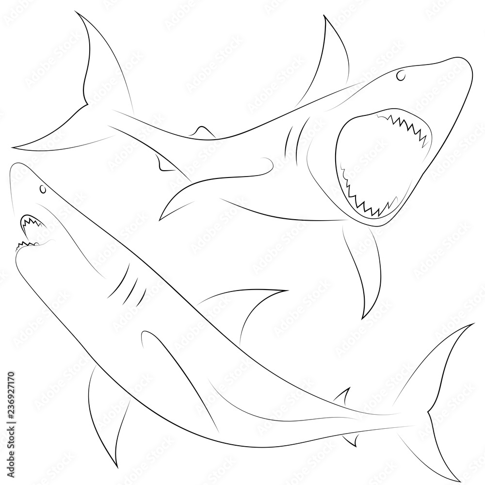 Obraz premium Black line shark attacks on white background. Set of Sharks. Sketch style. Vector graphic icon animal.