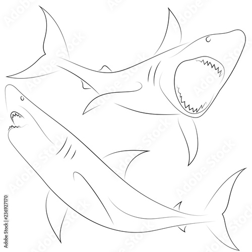 Black line shark attacks on white background. Set of Sharks. Sketch style. Vector graphic icon animal.