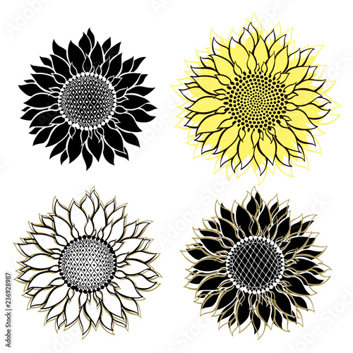 Sunflowers.Sketch. Hand draw vector illustration, isolated floral elements for design on white background.Silhouettes.