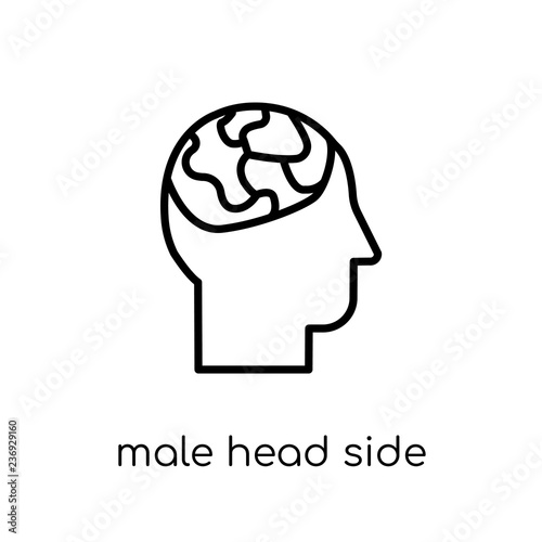 Male head side view with brains icon. Trendy modern flat linear