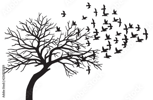 scary bare black tree silhouette and flock of flying birds