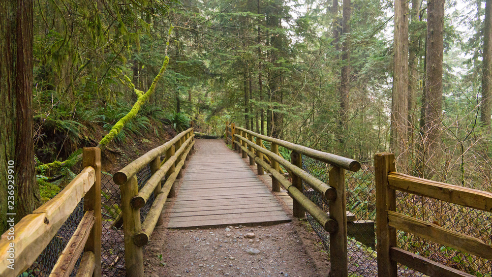 Obraz premium Heading For Cheakamus Lake, Whistler, BC
