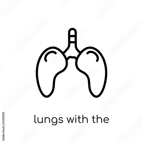 Lungs with the trachea icon. Trendy modern flat linear vector Lungs with the trachea icon on white background from thin line Human Body Parts collection