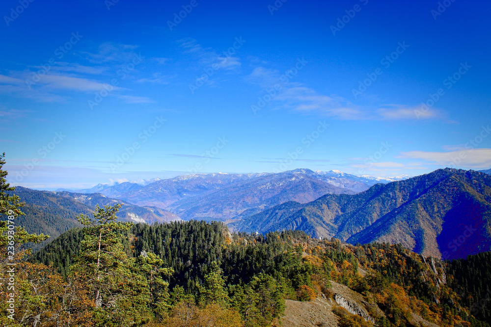 Colorful autumn landscape in the mountain forest