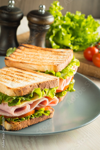 Close-up of two sandwiches with bacon, salami, prosciutto and fresh vegetables on rustic wooden cutting board. Club sandwich concept.