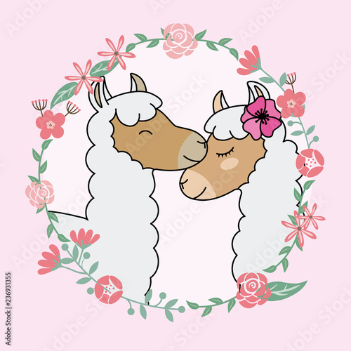 Couple of llamas in love. Valentines card