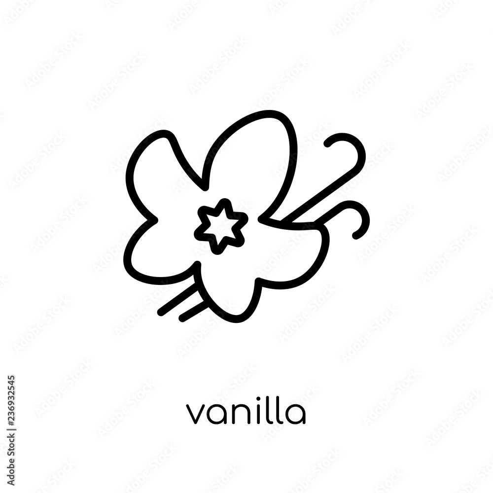 Vanilla icon. Trendy modern flat linear vector Vanilla icon on white background from thin line nature collection