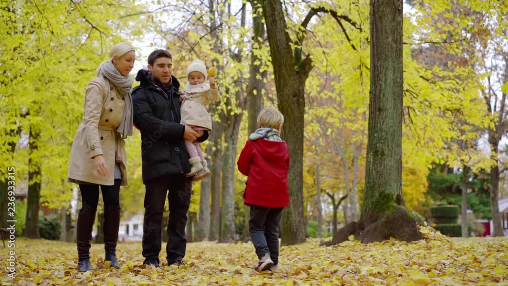 happy little boy is throwing dry leaves in air in autumn park, his parent with sister are looking at him happy little boy is throwing dry leaves in air in autumn park, his parent with sister are looking at him