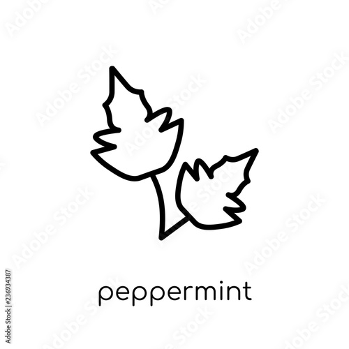 Peppermint icon. Trendy modern flat linear vector Peppermint icon on white background from thin line nature collection