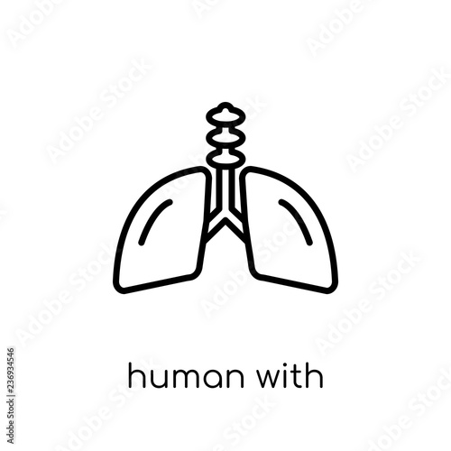 Human with focus on the lungs icon. Trendy modern flat linear ve