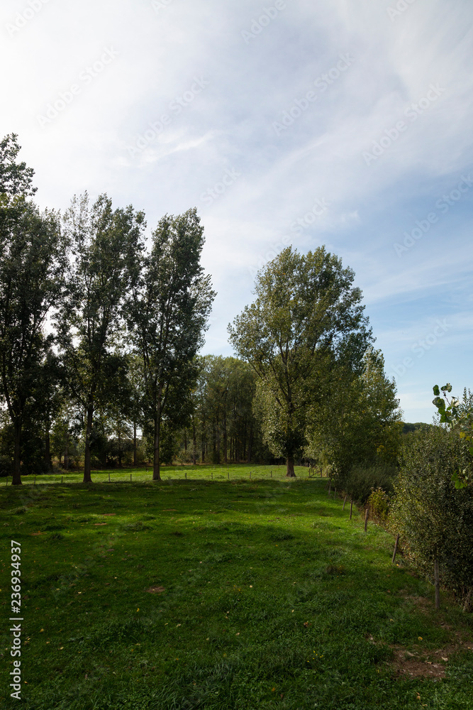Typical landscape of foreland of small  river Roer, Limburg, Netherlands