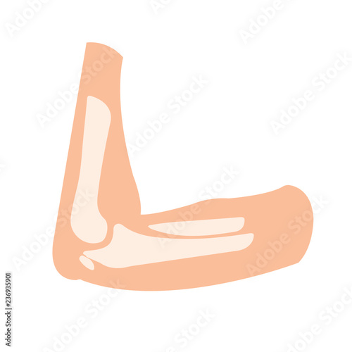 Shoulder bone flat isometric vector illustration. Arm bone 3d vector illustration. Human scapula bone isometric. Anatomical model of human hand vector flat photo