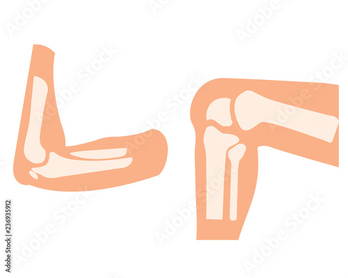 vector human knee and foot leg and hands arms in a bent