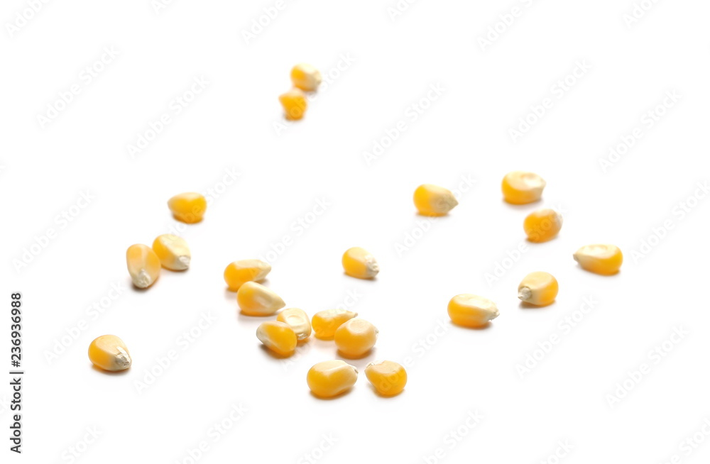 Raw corn kernels isolated on white background Raw corn kernels isolated on white background