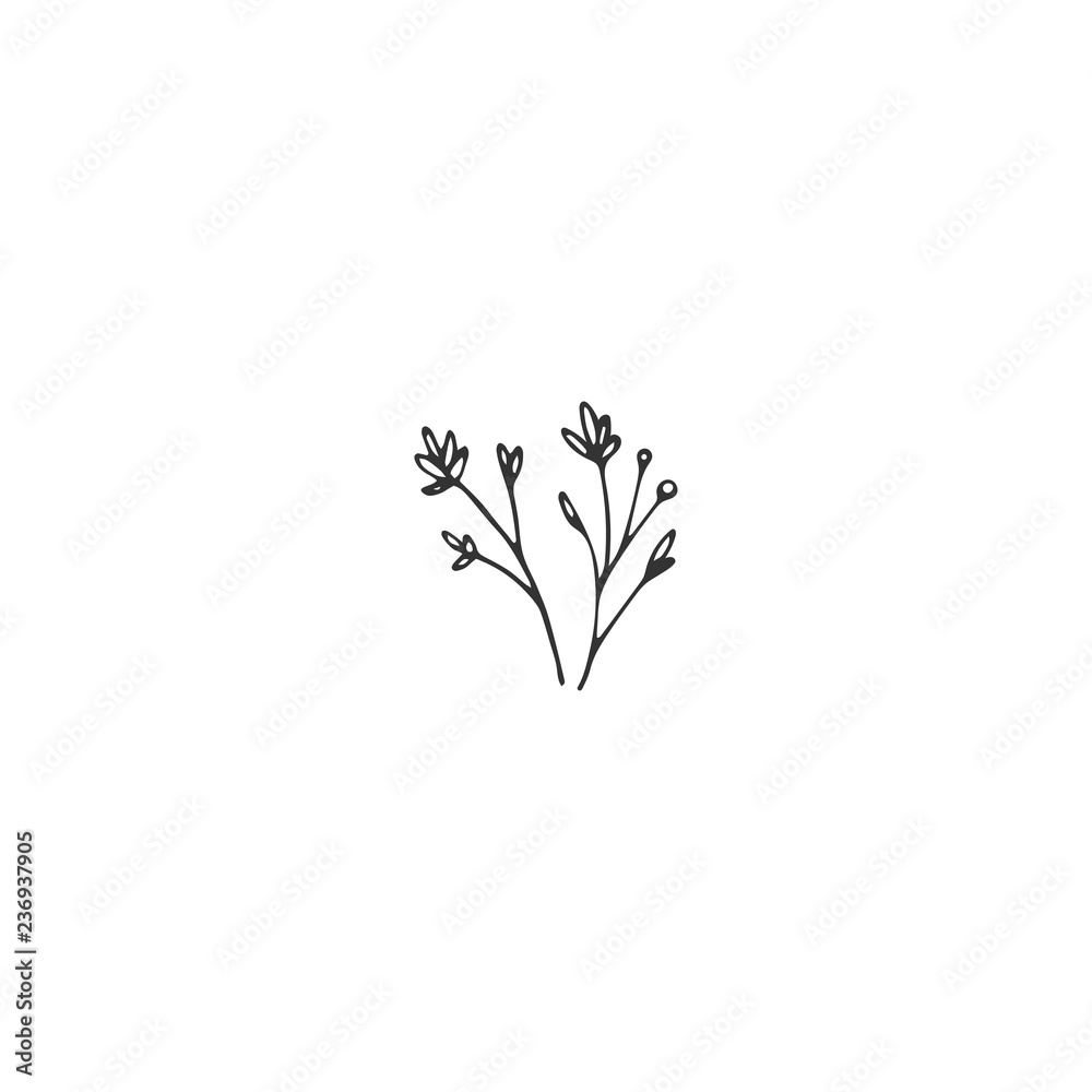 Vector floral hand drawn element in elegant and minimal style. Vector floral hand drawn element in elegant and minimal style.