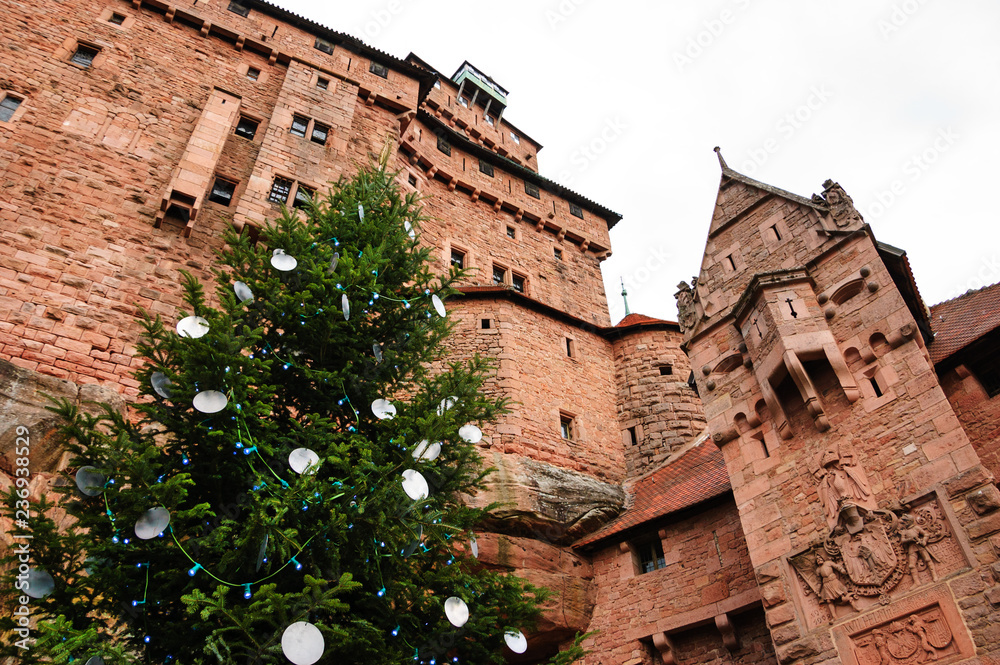 Christmas in Castle. Haut-Koenigsbourg castle (France) decorated with Christmas tree for the holidays. 