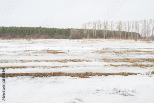 Snow covered field in winter. Dull calm landscape.