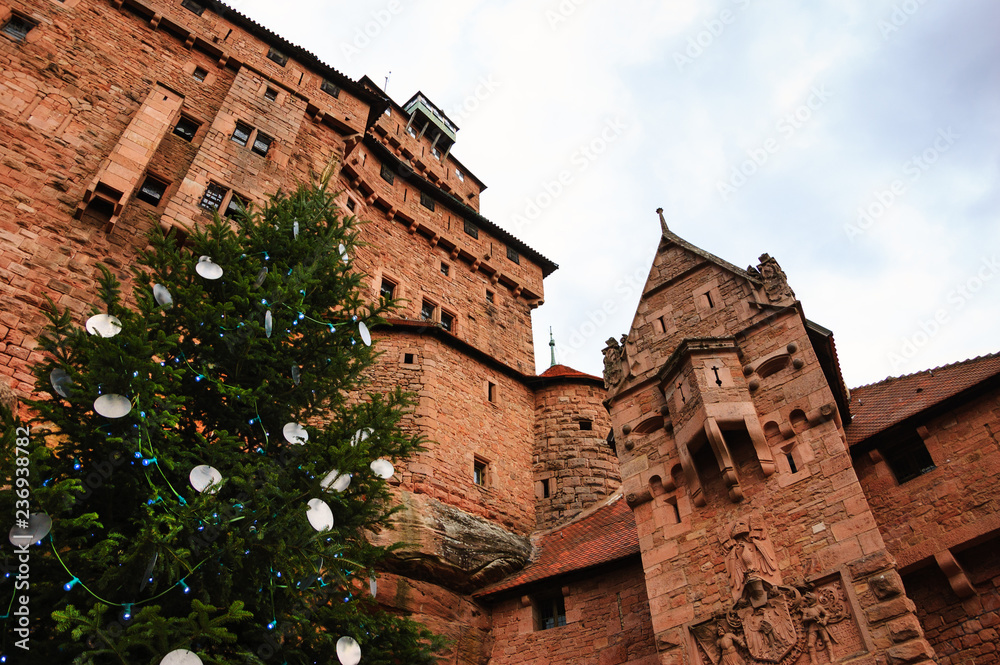 Christmas in Castle. Haut-Koenigsbourg castle (France) decorated with Christmas tree for the holidays. 