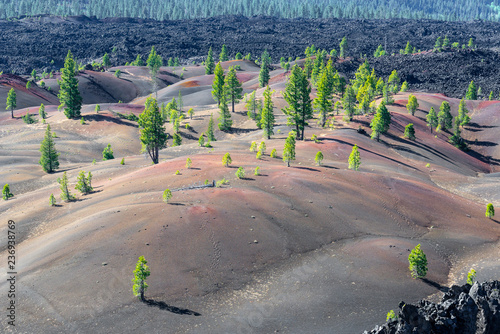 Canvas Print Painted Dunes in Lassen Volcanic National Park, California, USA