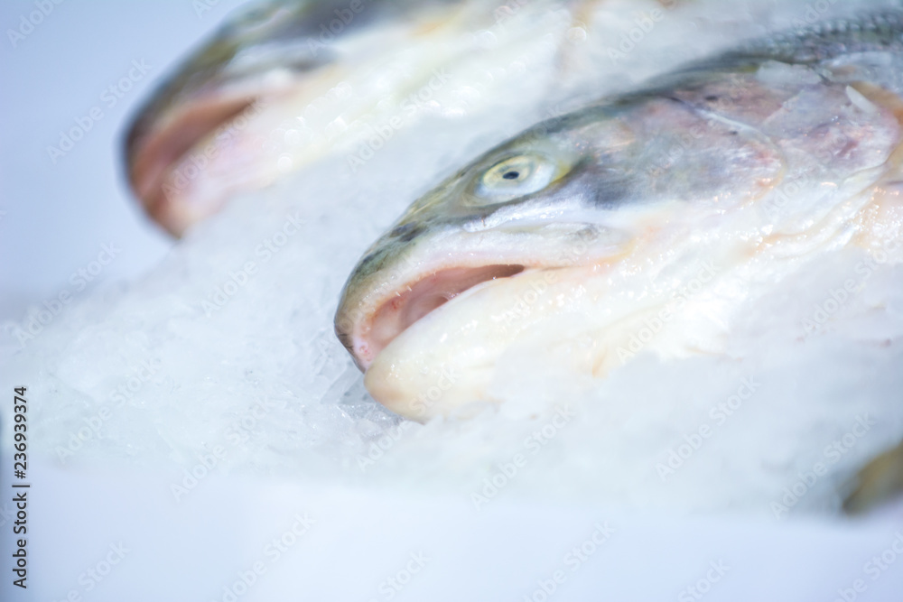 Fresh appetizing chilled fish on ice.