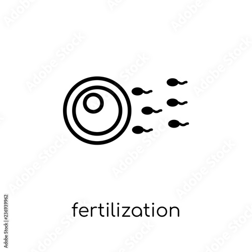 Fertilization icon. Trendy modern flat linear vector Fertilization icon on white background from thin line Human Body Parts collection