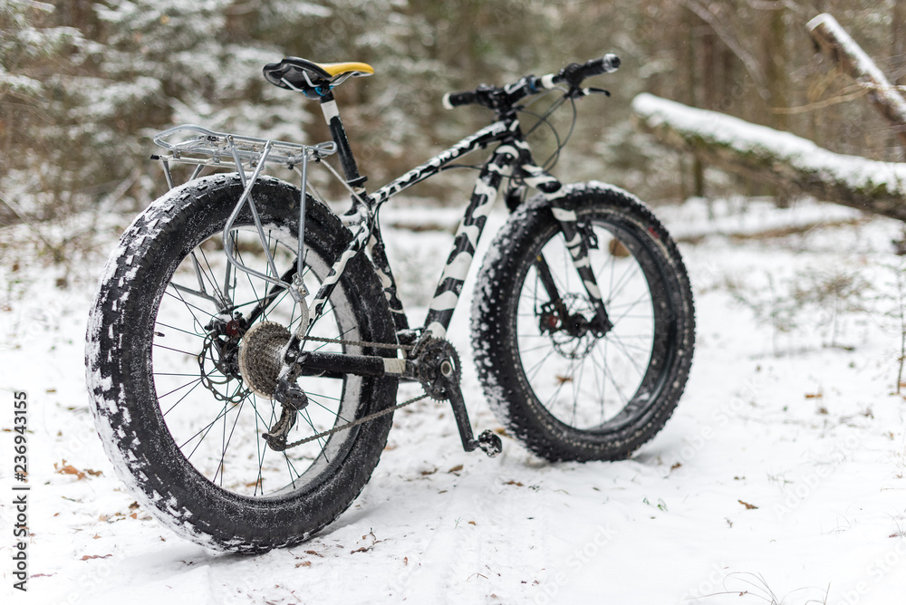 A fatbike standing in the woods in winter A fatbike standing in the woods in winter