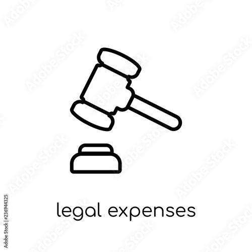 legal expenses icon. Trendy modern flat linear vector legal expenses icon on white background from thin line Insurance collection
