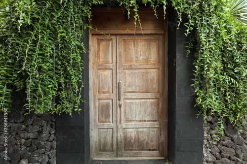 Wooden door in green plants