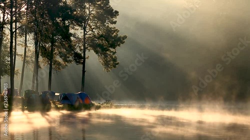 Beautiful landscape,Camping and tent under the pine forest at Pang-ung, pine forest park with ray of light , Mae Hong Son,Thailand.