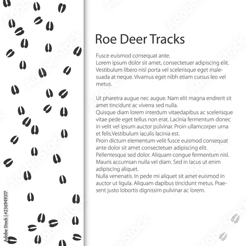 Cover Design with Traces of Forest Animal, Trace of a Roe Deer Animal , Vector Illustration